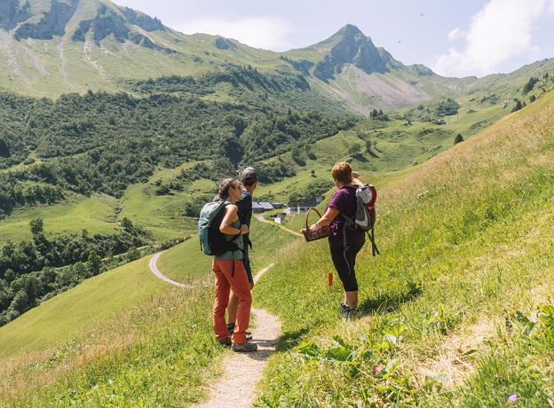Kräuterwanderung zur Stafel Alpe mit Christiane Martin