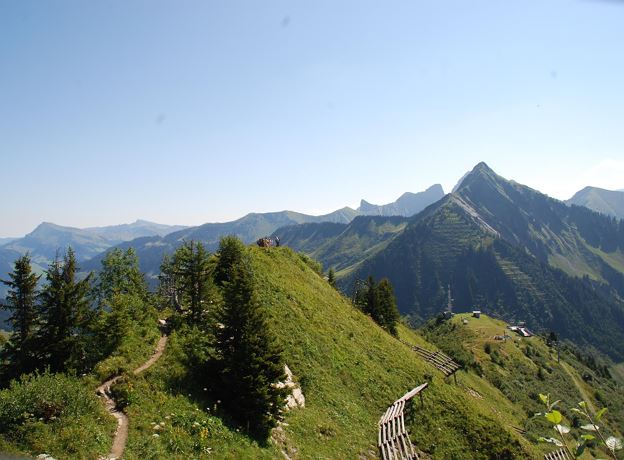 BERGaktiv Unterwegs auf dem Blumen-Wanderlehrpfad